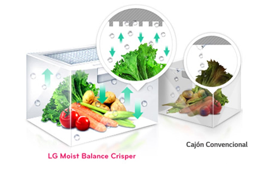 MOIST BALANCE CRISPER (CAJÓN CON CONTROL DE HUMEDAD)